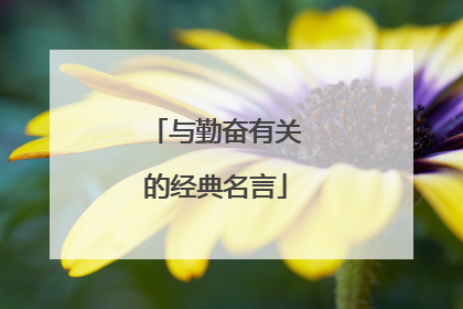 与勤奋有关的经典名言