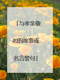 与孝亲敬老的故事或名言警句