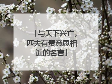 与天下兴亡,匹夫有责意思相近的名言