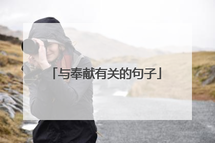 与奉献有关的句子