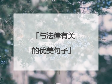 与法律有关的优美句子