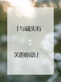 与诚实有关的俗语