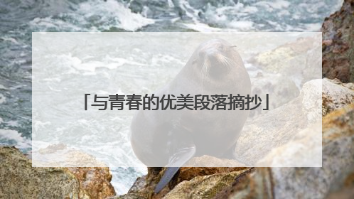 与青春的优美段落摘抄