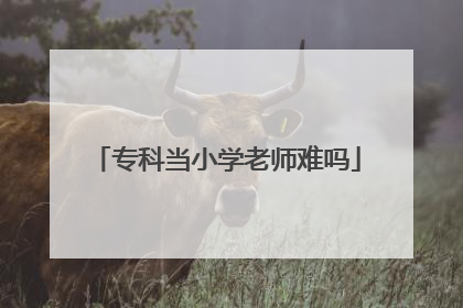 专科当小学老师难吗