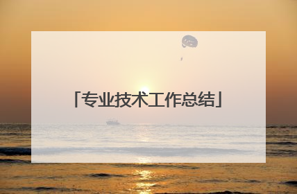 专业技术工作总结