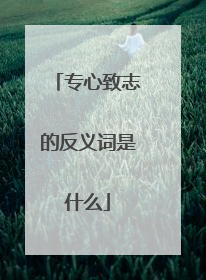专心致志的反义词是什么