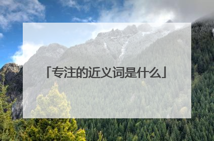 专注的近义词是什么