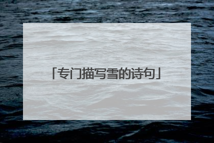 专门描写雪的诗句