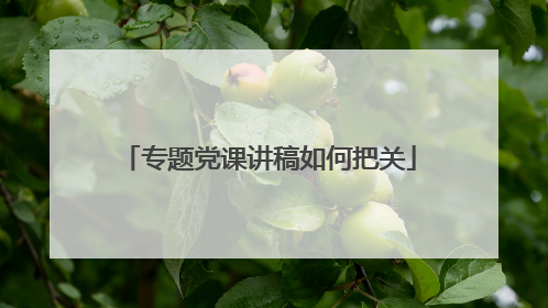 专题党课讲稿如何把关