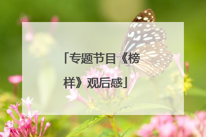 专题节目《榜样》观后感