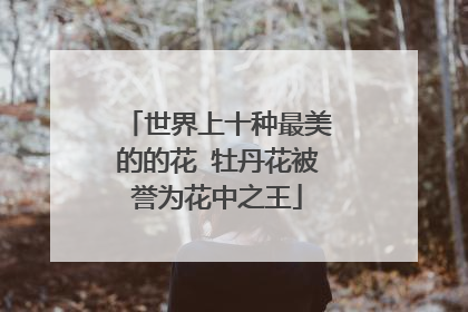 世界上十种最美的的花 牡丹花被誉为花中之王