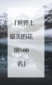 世界上最美的花前500名
