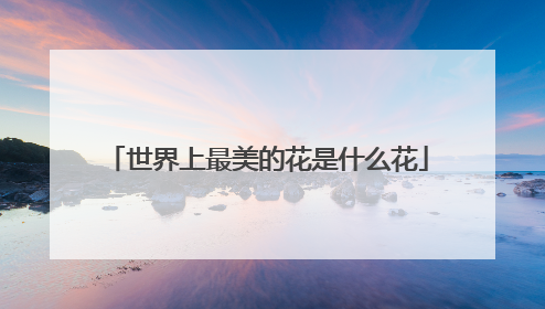 世界上最美的花是什么花