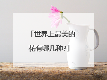 世界上最美的花有哪几种?