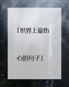 世界上最伤心的句子