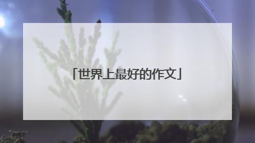 世界上最好的作文
