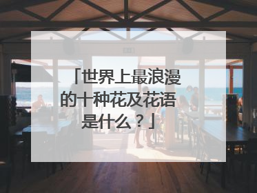 世界上最浪漫的十种花及花语是什么？
