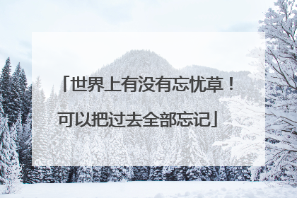 世界上有没有忘忧草！可以把过去全部忘记