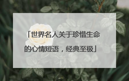 世界名人关于珍惜生命的心情短语,经典至极
