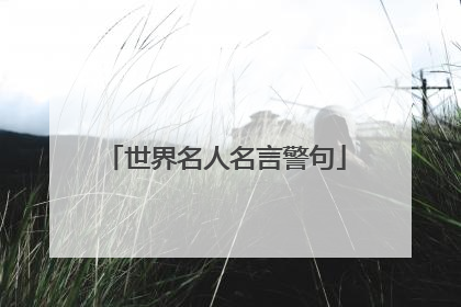 世界名人名言警句
