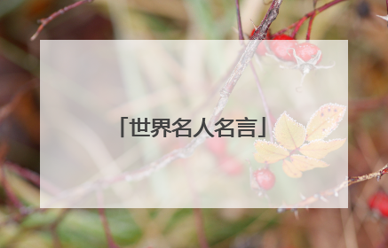 世界名人名言