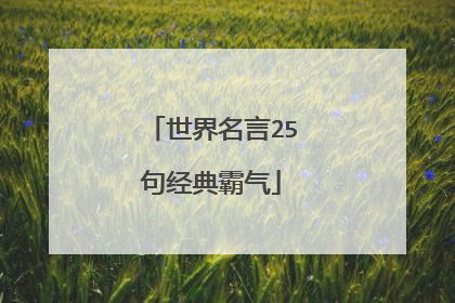 世界名言25句经典霸气