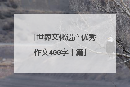 世界文化遗产优秀作文400字十篇