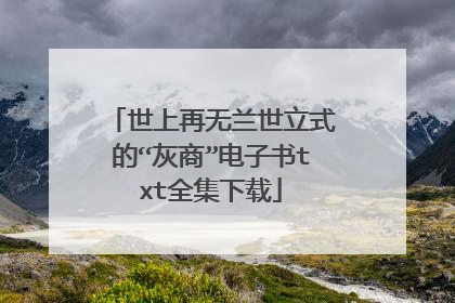 世上再无兰世立式的“灰商”电子书txt全集下载