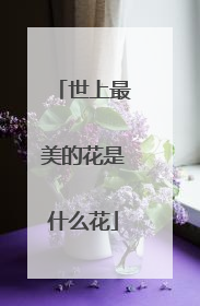 世上最美的花是什么花