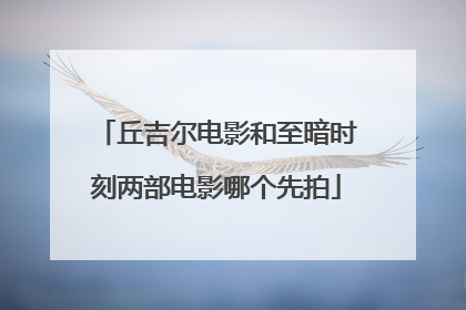 丘吉尔电影和至暗时刻两部电影哪个先拍