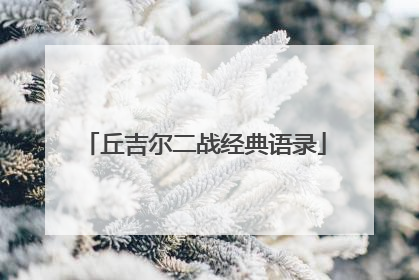 丘吉尔二战经典语录