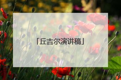 丘吉尔演讲稿