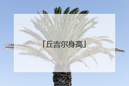 丘吉尔身高
