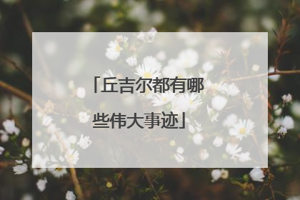 丘吉尔都有哪些伟大事迹