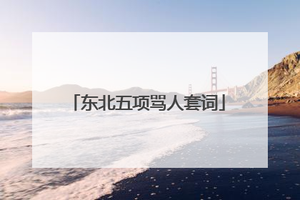 东北五项骂人套词