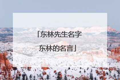 东林先生名字 东林的名言