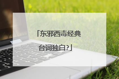 东邪西毒经典台词独白?
