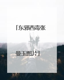 东邪西毒张曼玉图片