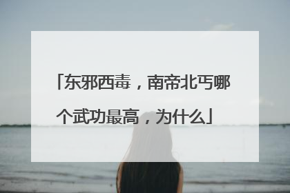 东邪西毒，南帝北丐哪个武功最高，为什么
