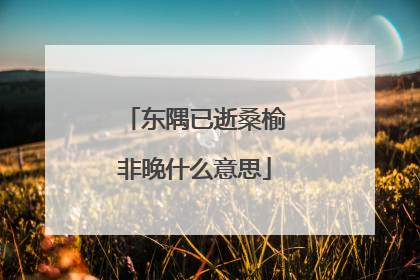 东隅已逝桑榆非晚什么意思