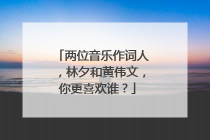 两位音乐作词人，林夕和黄伟文，你更喜欢谁？