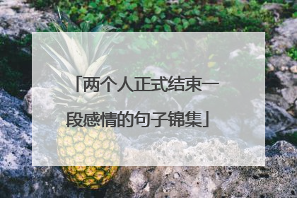 两个人正式结束一段感情的句子锦集