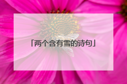 两个含有雪的诗句