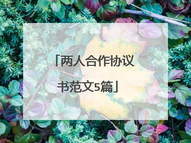 两人合作协议书范文5篇