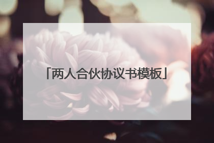 两人合伙协议书模板