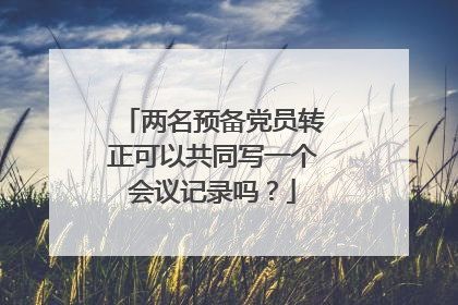 两名预备党员转正可以共同写一个会议记录吗?