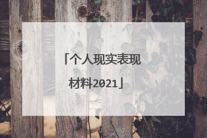个人现实表现材料2021