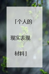 个人的现实表现材料