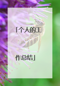 个人的工作总结