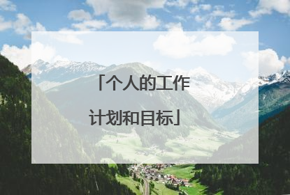 个人的工作计划和目标